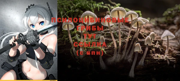 МДМА Абаза