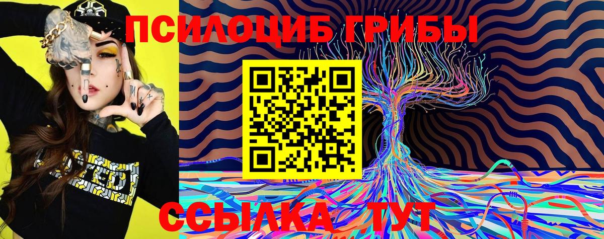 Галлюциногенные грибы GOLDEN TEACHER  Вход с VPN  Троицк  закладка  Галлюциногенные грибы Cubensis 